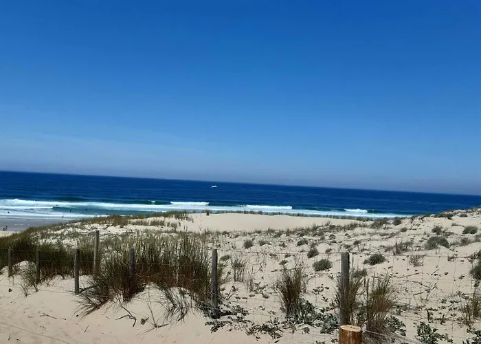 Hébergement de vacances Les 2 Pins -