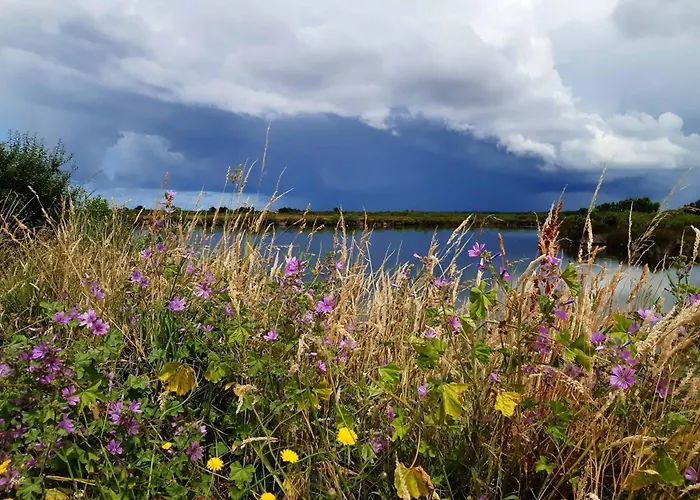 Feriehus Les 2 Pins - *